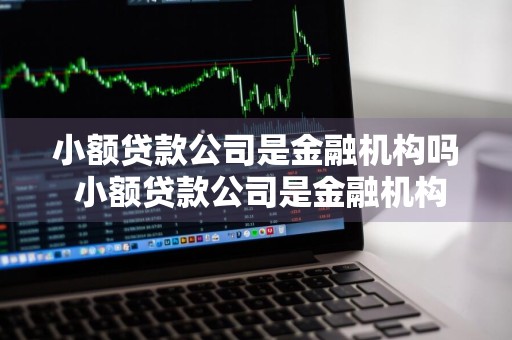 小额贷款公司是金融机构吗 小额贷款公司是金融机构吗,适用金融借款纠纷吗