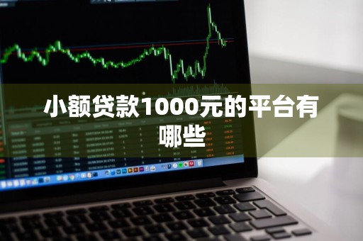 小额贷款1000元的平台有哪些
