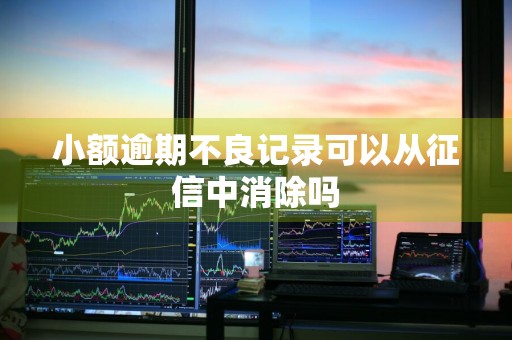 小额逾期不良记录可以从征信中消除吗