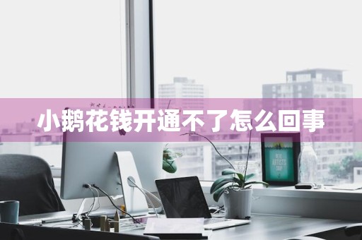 小鹅花钱开通不了怎么回事