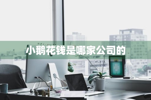 小鹅花钱是哪家公司的