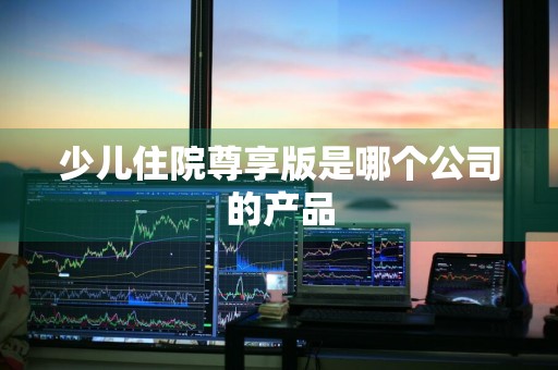 少儿住院尊享版是哪个公司的产品
