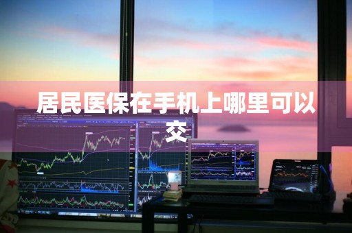 居民医保在手机上哪里可以交