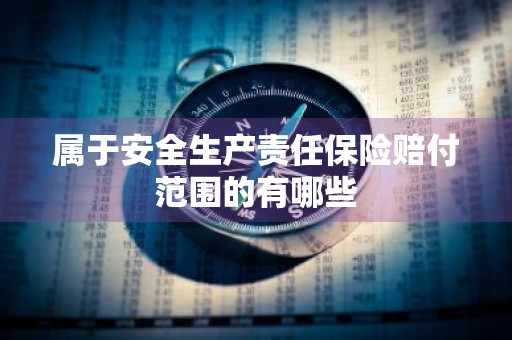 属于安全生产责任保险赔付范围的有哪些