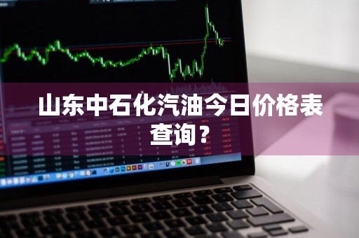 山东中石化汽油今日价格表查询？