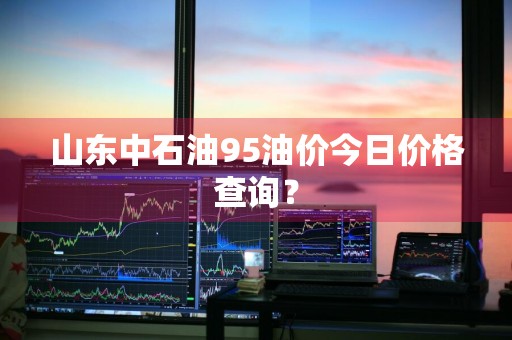 山东中石油95油价今日价格查询？