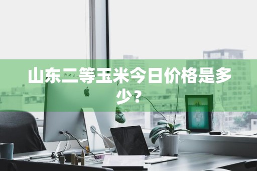 山东二等玉米今日价格是多少？