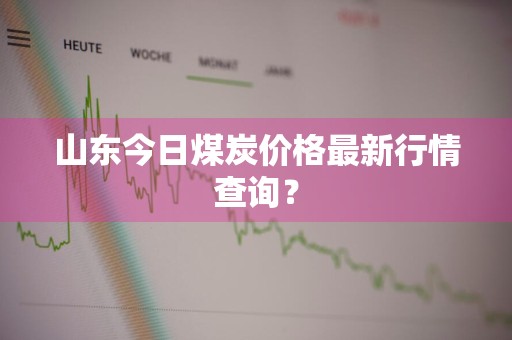 山东今日煤炭价格最新行情查询？