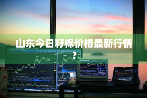 山东今日籽棉价格最新行情？