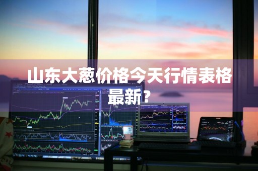 山东大葱价格今天行情表格最新？