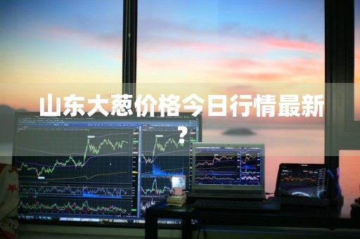 山东大葱价格今日行情最新？
