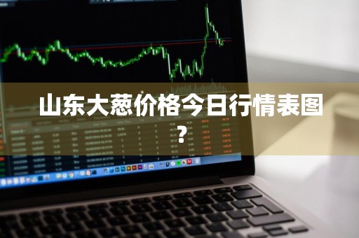 山东大葱价格今日行情表图？