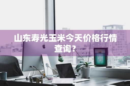 山东寿光玉米今天价格行情查询?