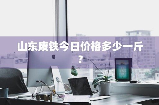 山东废铁今日价格多少一斤？
