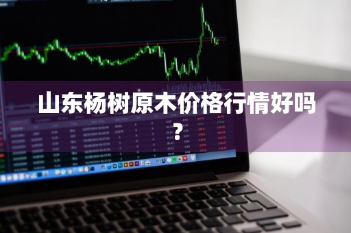 山东杨树原木价格行情好吗？