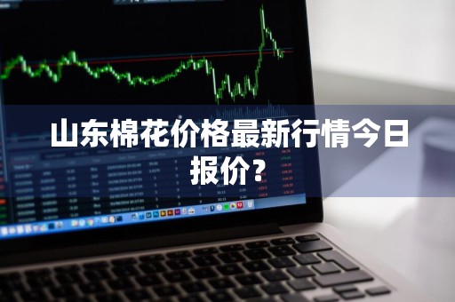 山东棉花价格最新行情今日报价？