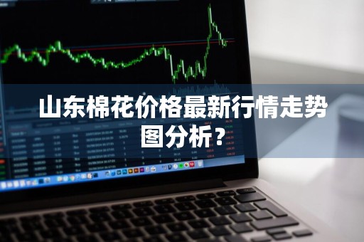 山东棉花价格最新行情走势图分析？