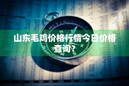 山东毛鸡价格行情今日价格查询？