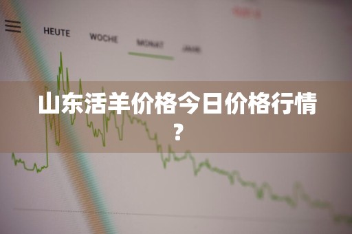 山东活羊价格今日价格行情？