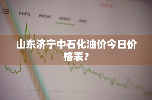 山东济宁中石化油价今日价格表？