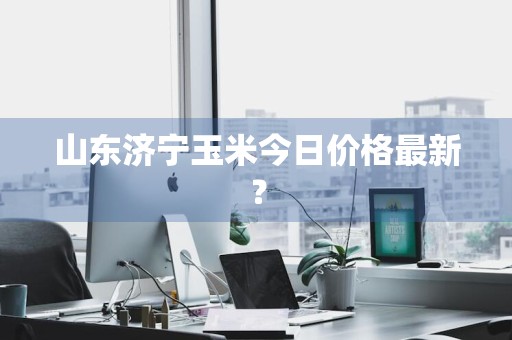 山东济宁玉米今日价格最新？