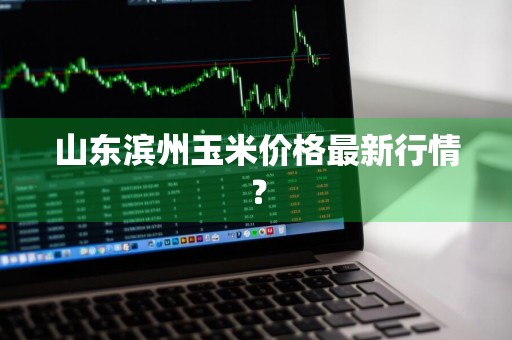 山东滨州玉米价格最新行情？