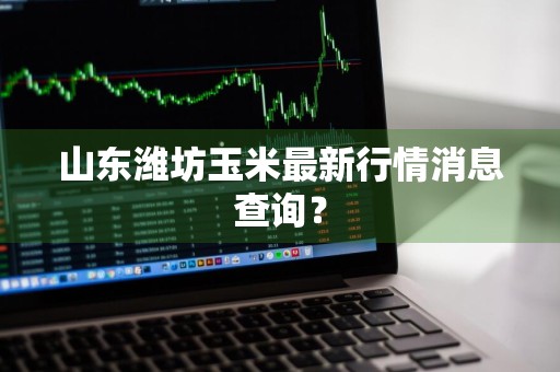 山东潍坊玉米最新行情消息查询？