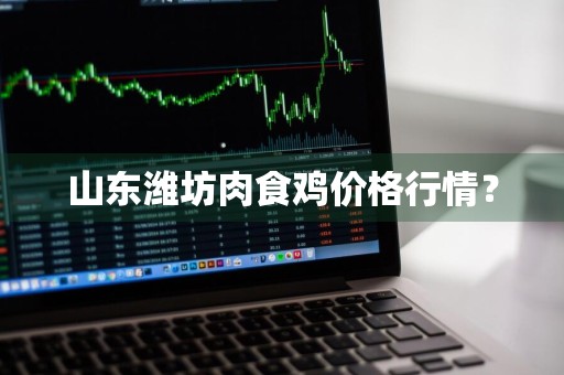 山东潍坊肉食鸡价格行情？
