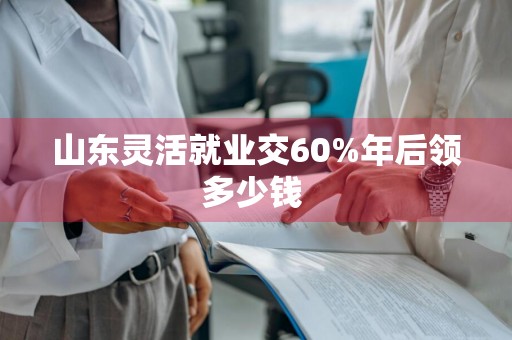 山东灵活就业交60%25年后领多少钱 