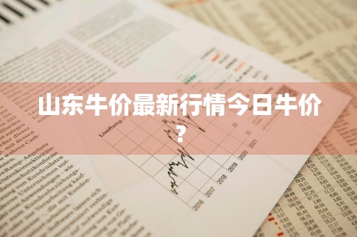 山东牛价最新行情今日牛价？