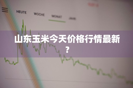 山东玉米今天价格行情最新？