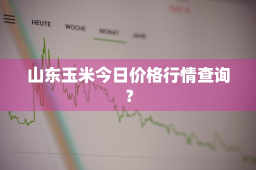 山东玉米今日价格行情查询？