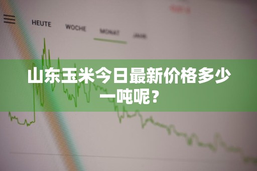 山东玉米今日最新价格多少一吨呢？