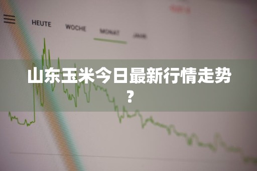 山东玉米今日最新行情走势？