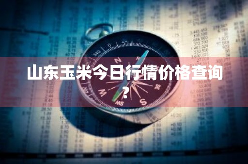 山东玉米今日行情价格查询？