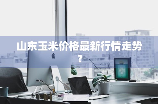 山东玉米价格最新行情走势？