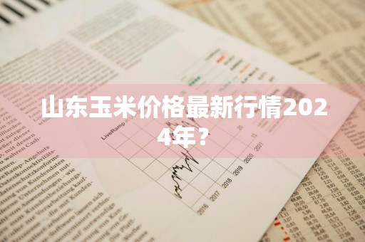山东玉米价格最新行情2024年？