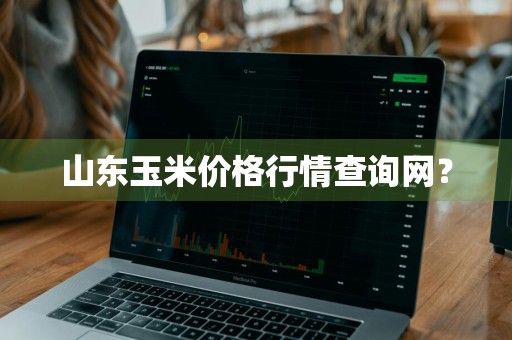 山东玉米价格行情查询网？