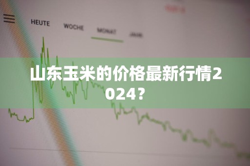山东玉米的价格最新行情2024?