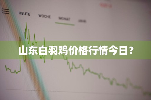 山东白羽鸡价格行情今日？