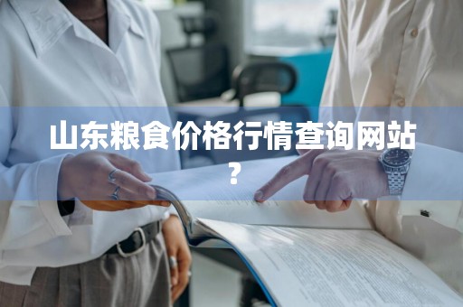 山东粮食价格行情查询网站？