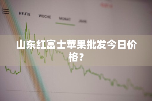 山东红富士苹果批发今日价格？