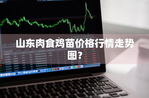 山东肉食鸡苗价格行情走势图？