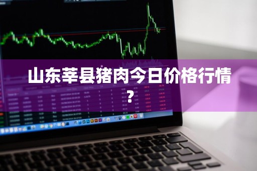山东莘县猪肉今日价格行情？