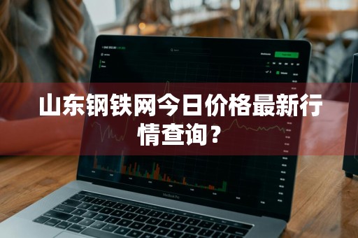 山东钢铁网今日价格最新行情查询？