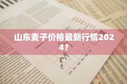 山东麦子价格最新行情2024？