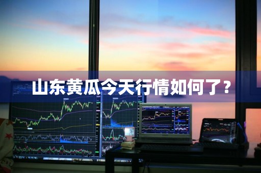 山东黄瓜今天行情如何了？