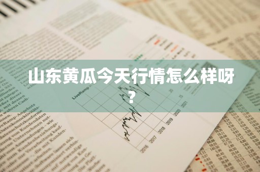 山东黄瓜今天行情怎么样呀？