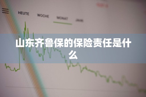 山东齐鲁保的保险责任是什么