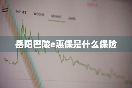 岳阳巴陵e惠保是什么保险